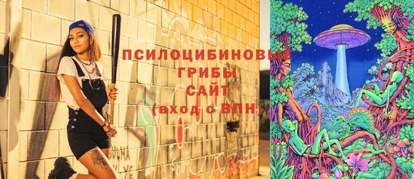 винт Алексин