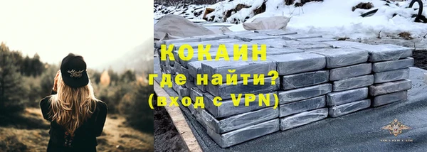 винт Алексин
