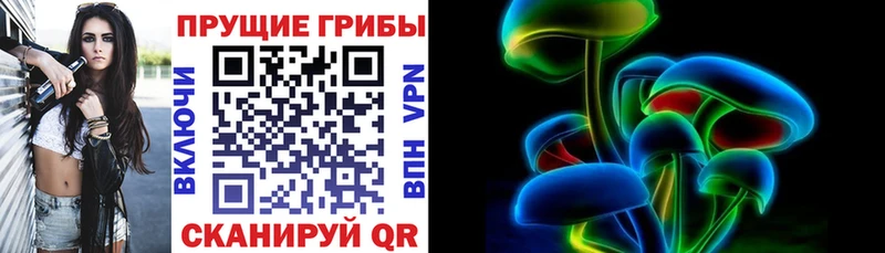 где найти Азнакаево Галлюциногенные грибы Psilocybine cubensis